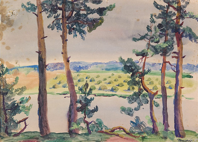 Pine Trees on the River Bank