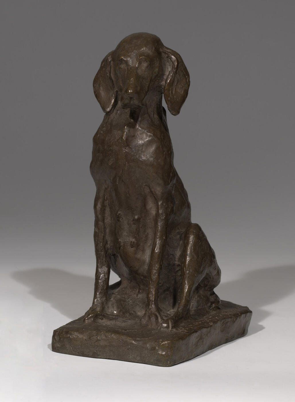 A Bronze model of a seated Dog