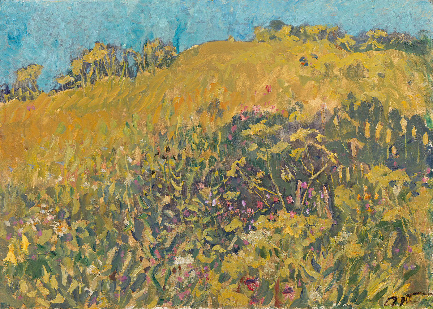 Hill Covered with Flowers