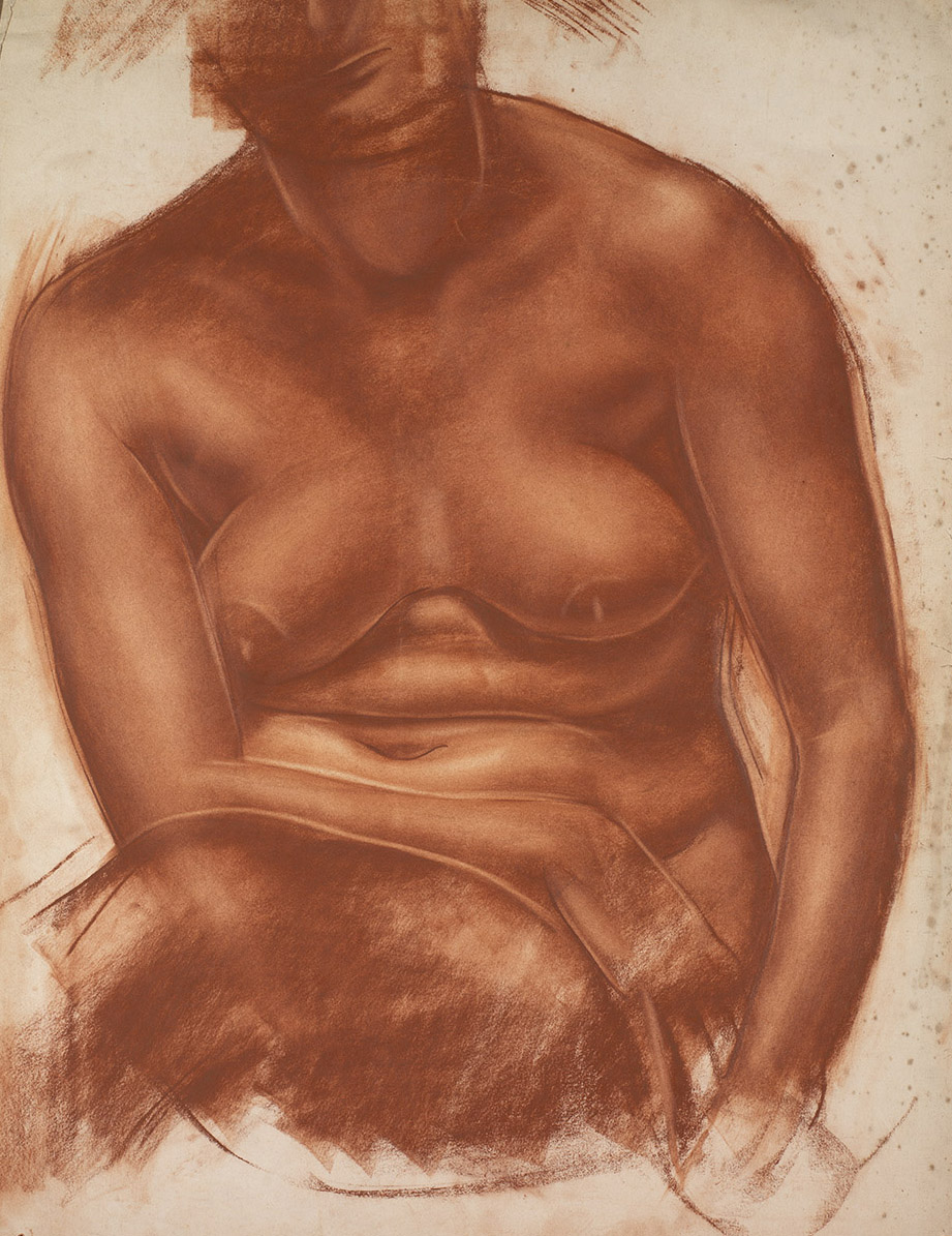 Nude Female Torso