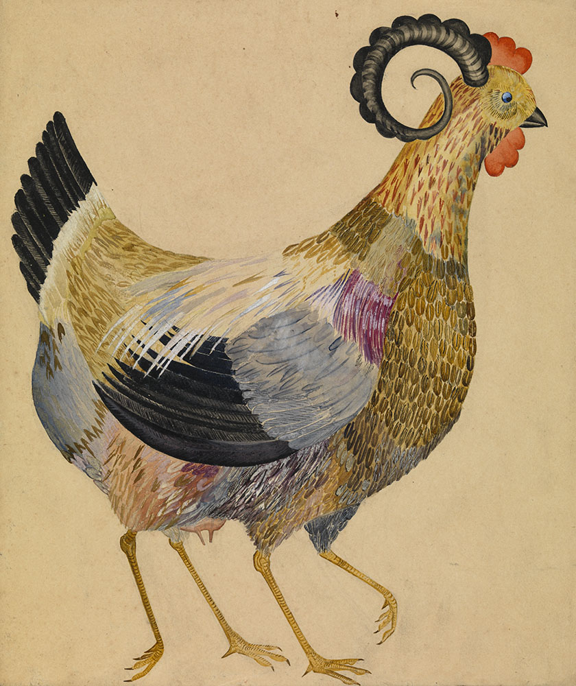 Chicken, from the series  </i>Fantastical Birds