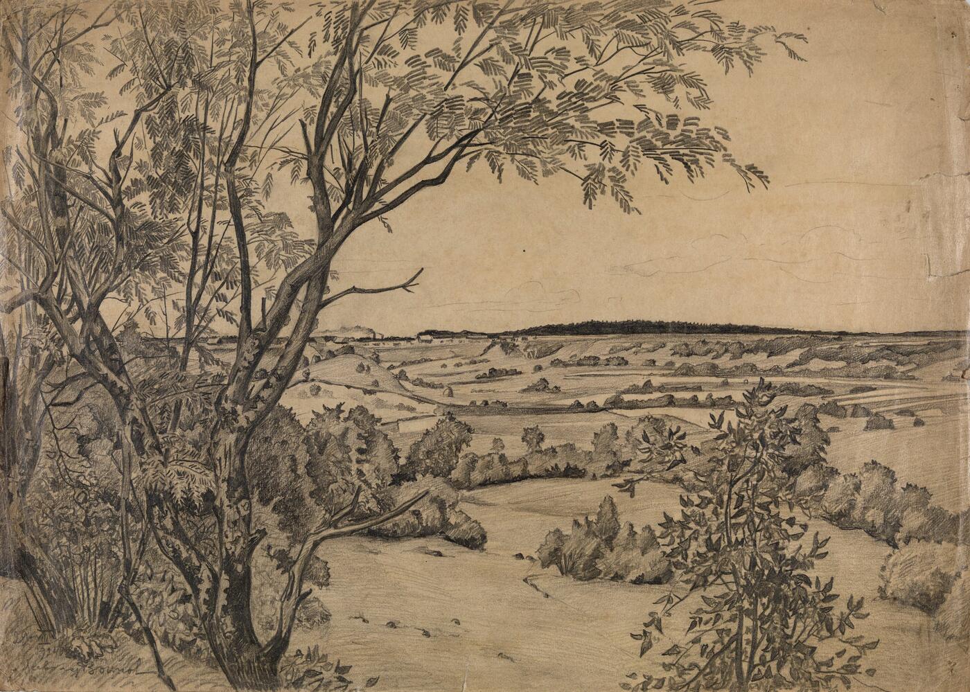 Landscape, Jukki
