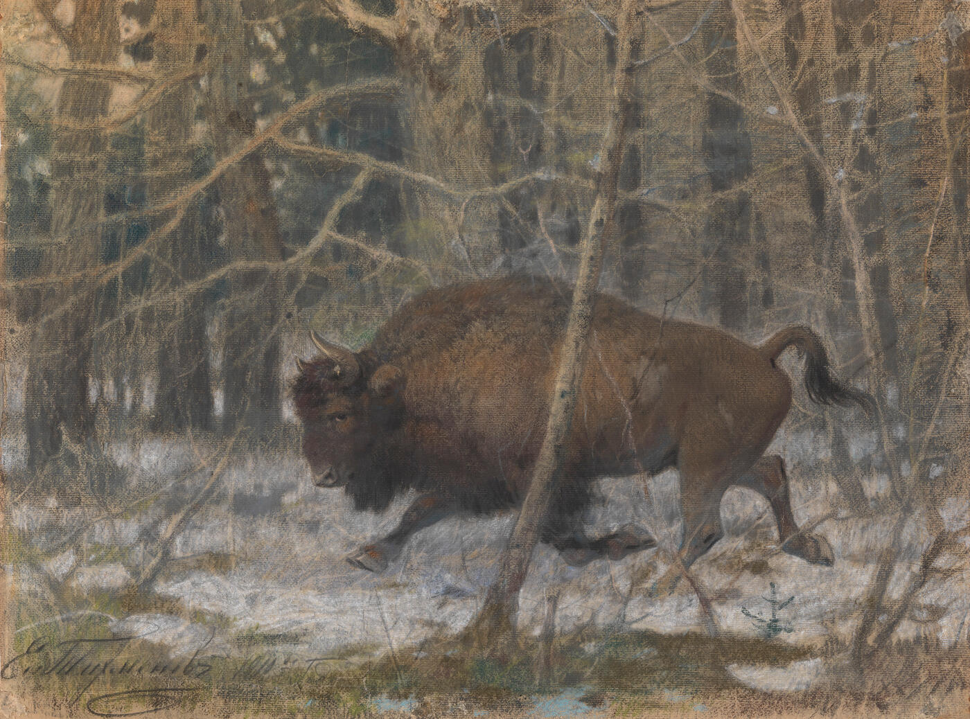 Bison and Hunting Scene