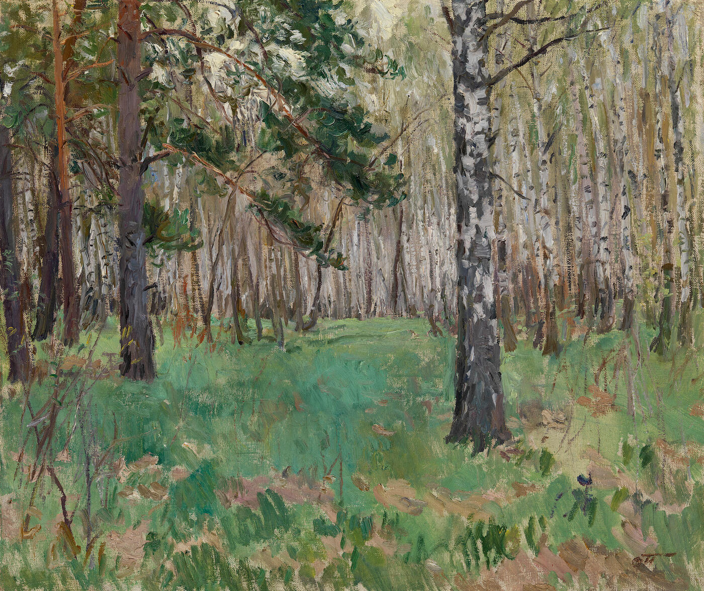 May in a Birch Grove