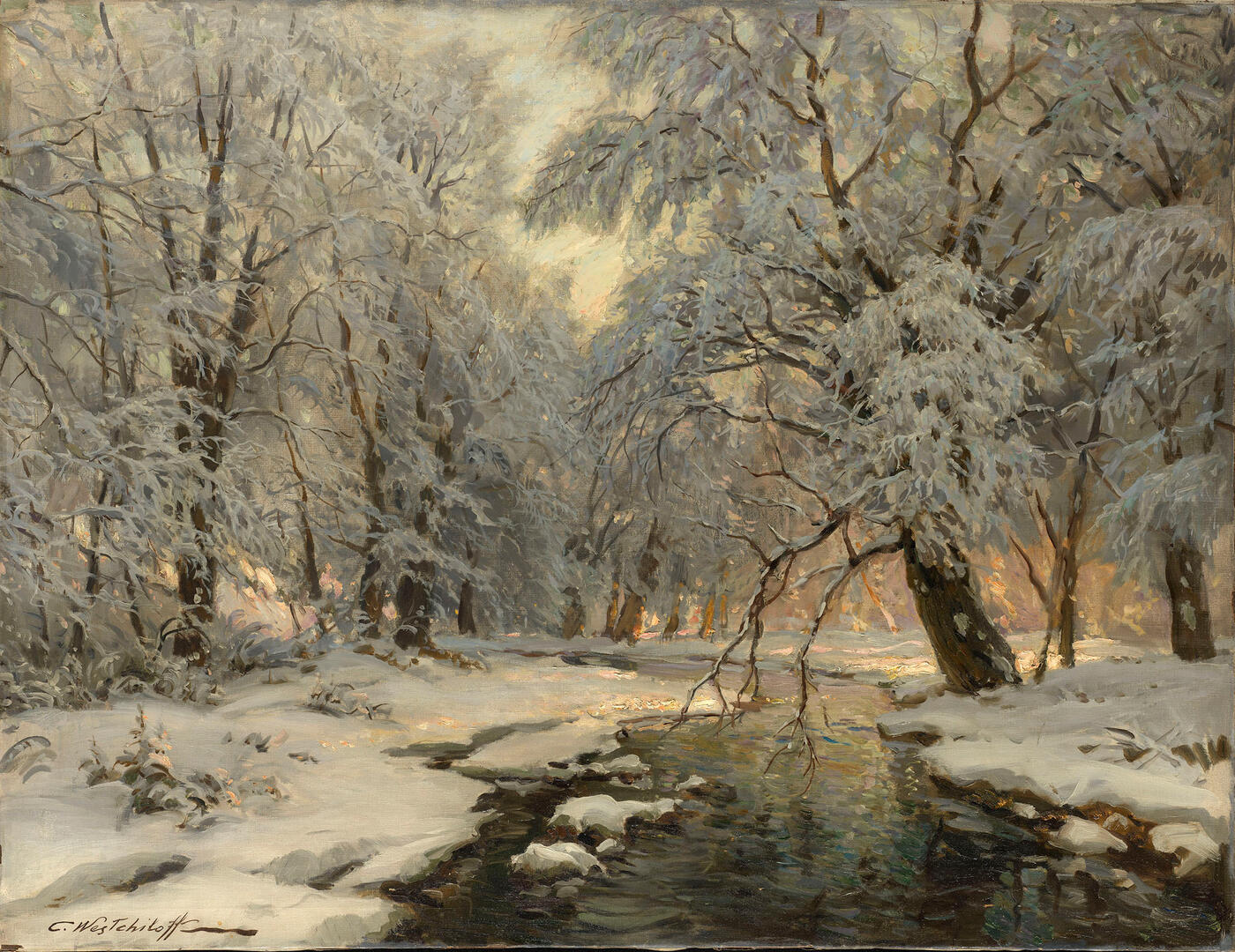 Winter in the Forest
