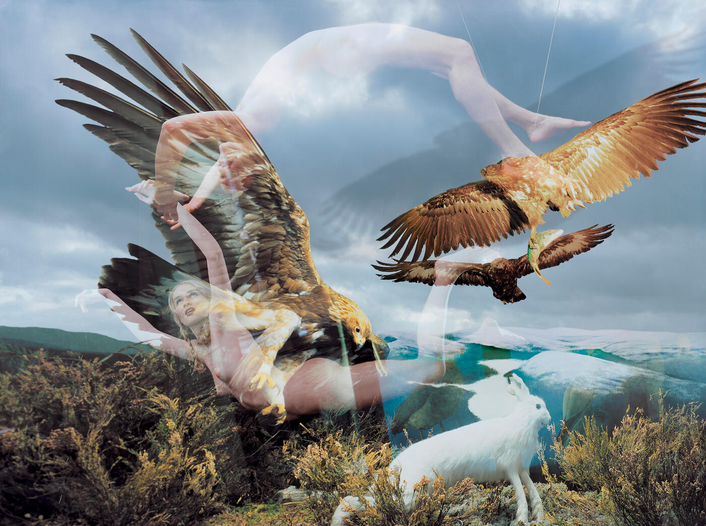 Eagles, from the series “Museum of Nature or New Paradise”