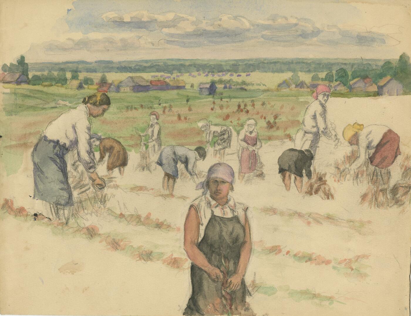Gathering Buckwheat