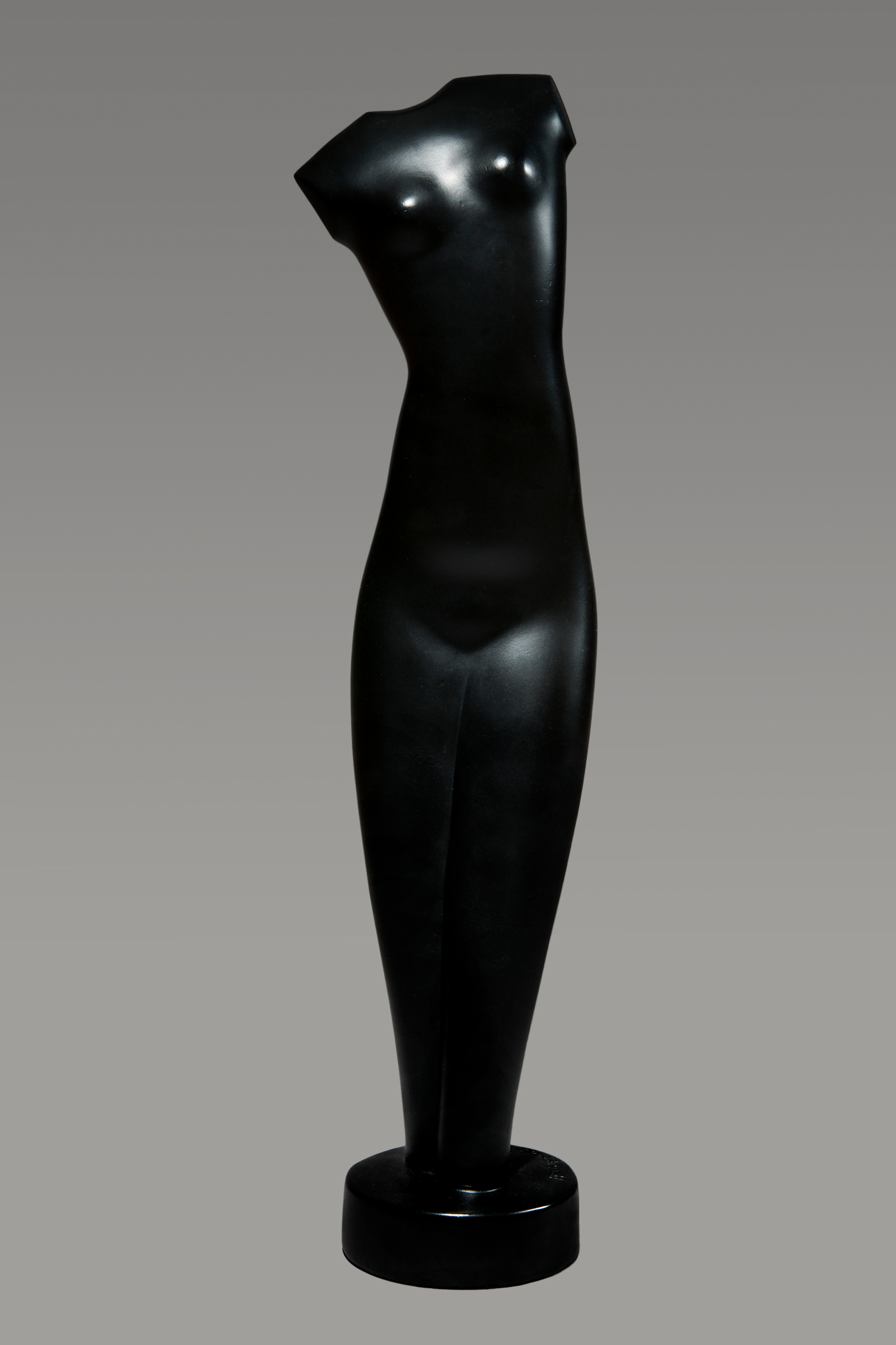 Female Torso