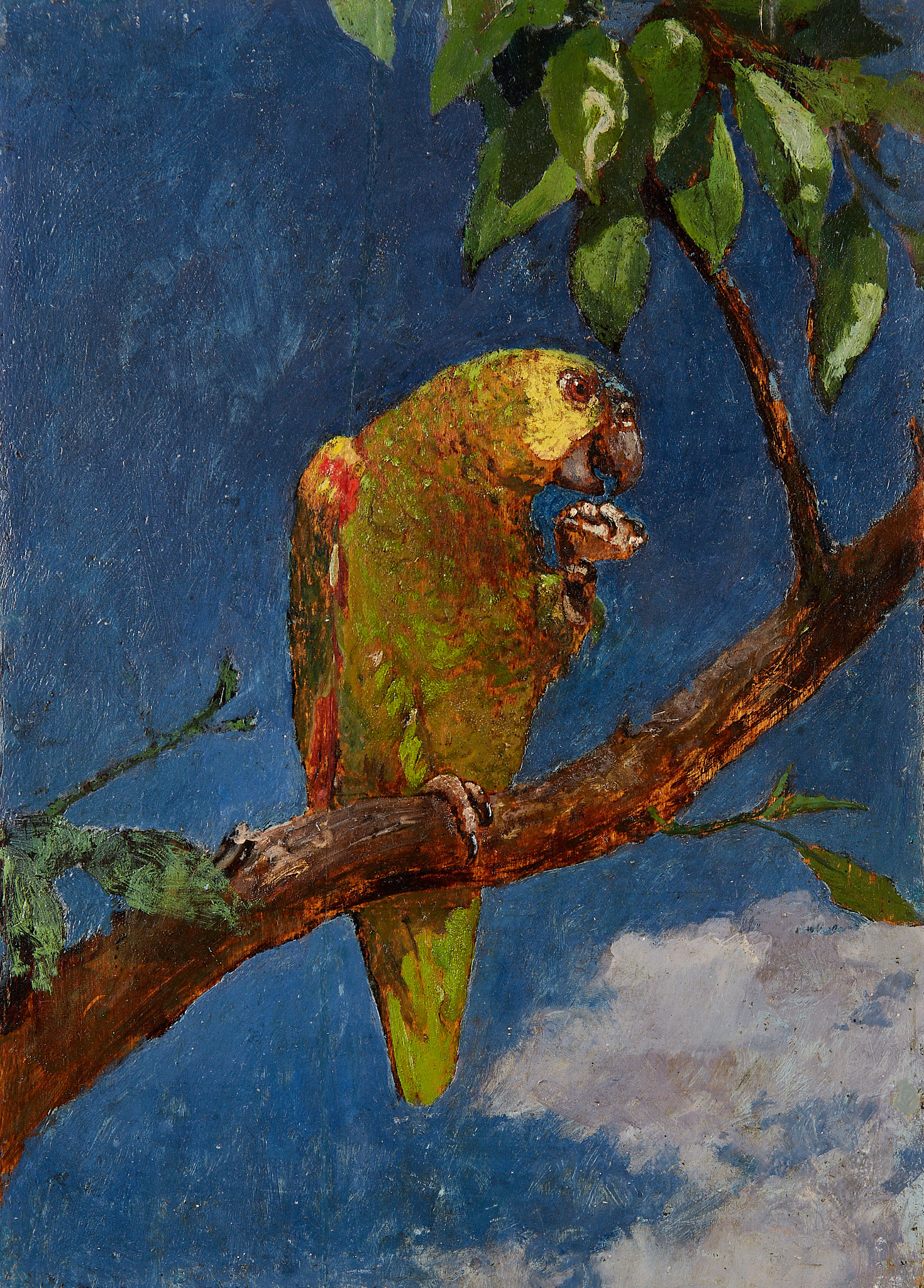 The Yellow Parrot