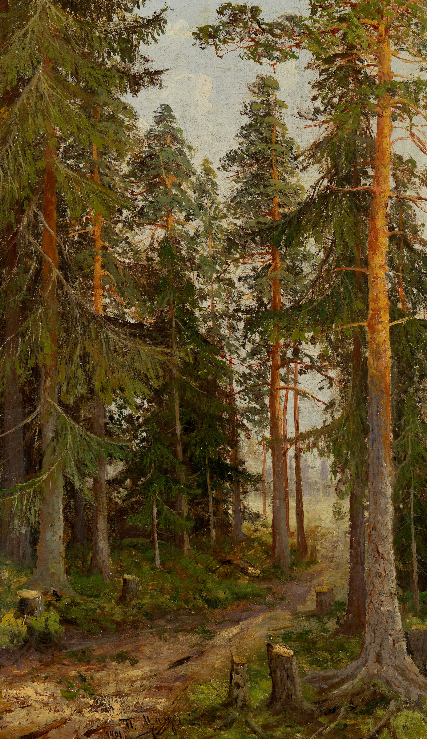 Forest Landscape