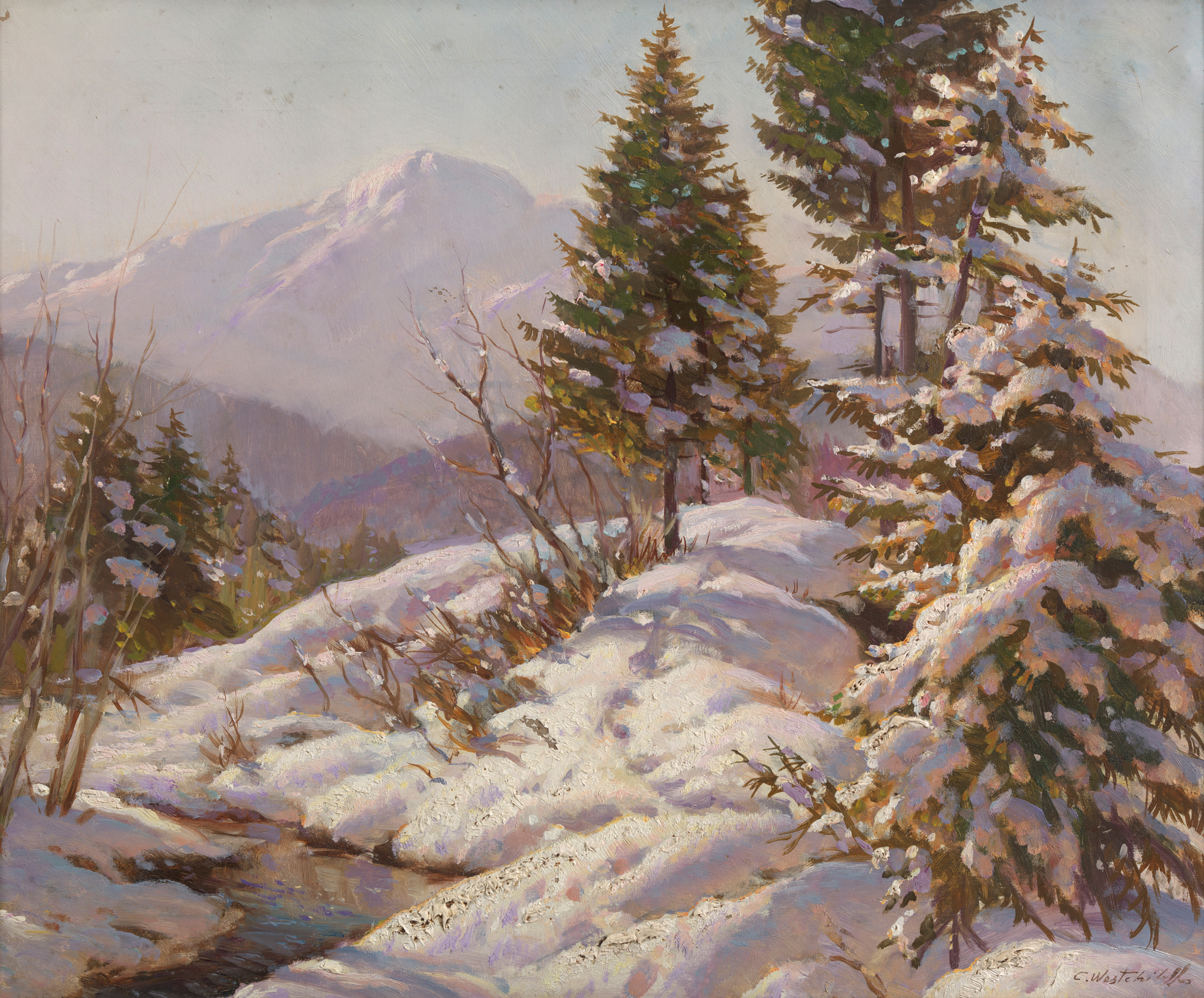 Snow-Capped Trees in the Mountains